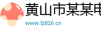 黃山市某某電子打標設備服務中心