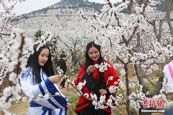 如何在JJ地主租號(hào)平臺(tái)確保賬號(hào)安全防范風(fēng)險(xiǎn)
